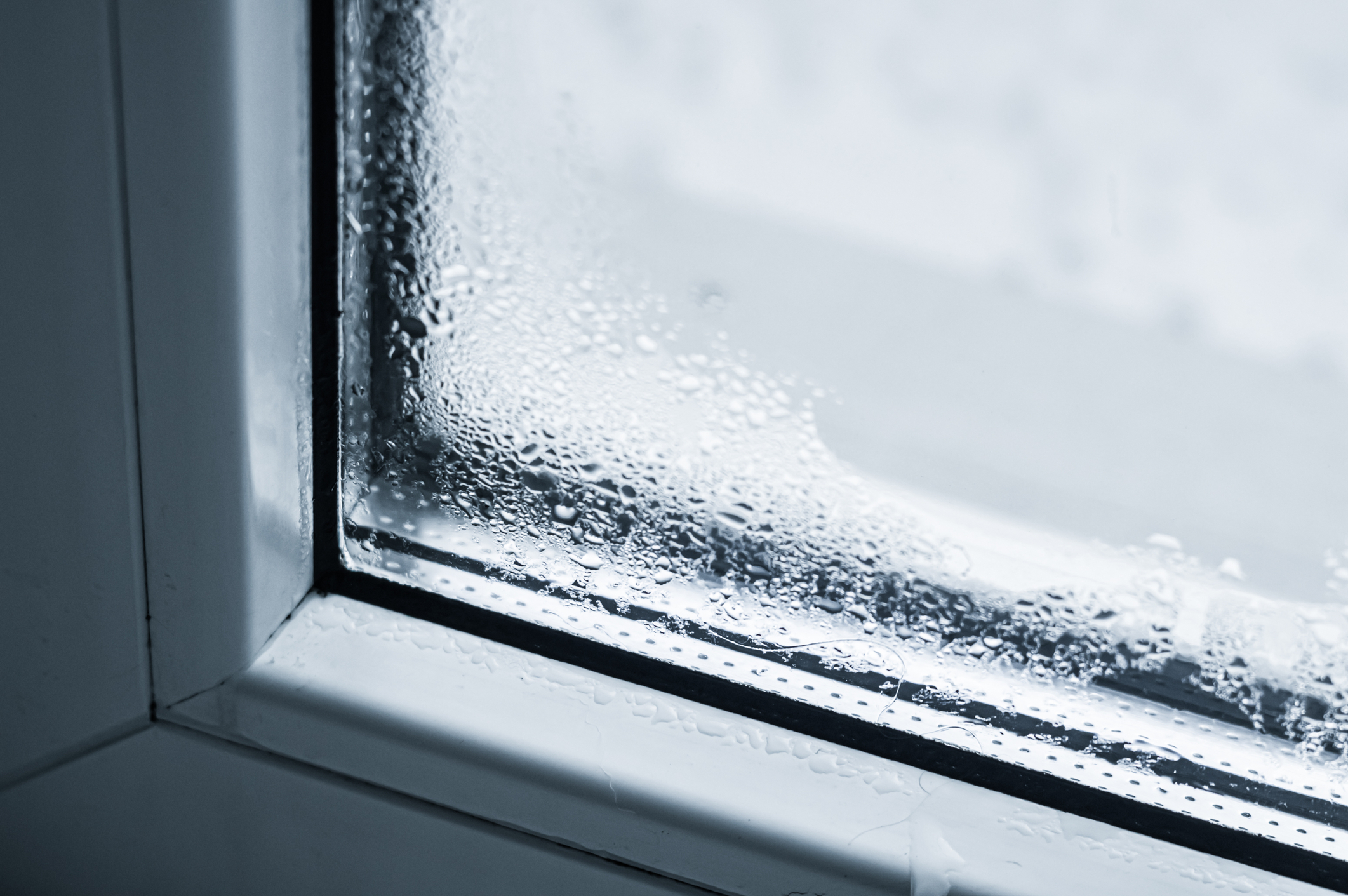 condensation trapped between panes of glass