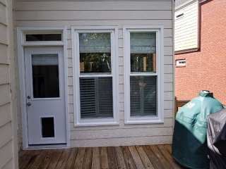 new windows and door with pet door